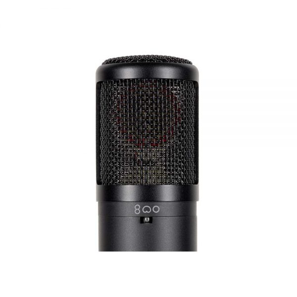se electronics se2300 studio microphone
