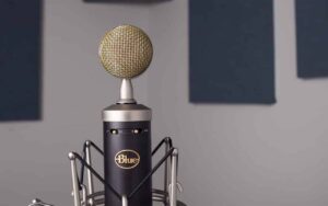 Blue Baby Bottle SL Condenser Microphone Unleash Your Studio Excellence 3